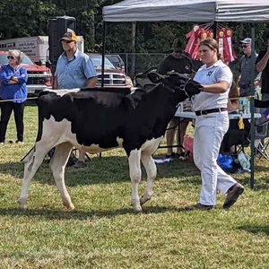 Meet your Posher, Katelyn